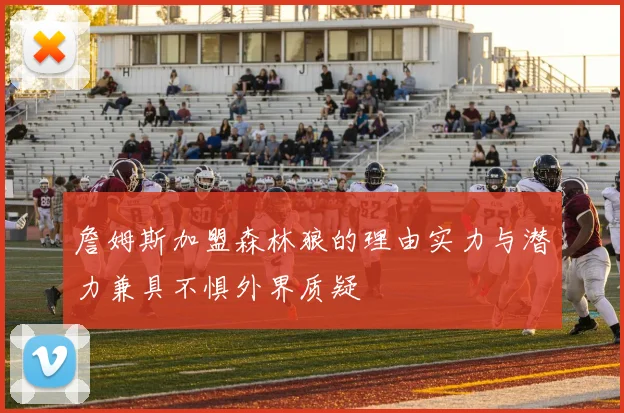 詹姆斯加盟森林狼的理由实力与潜力兼具不惧外界质疑